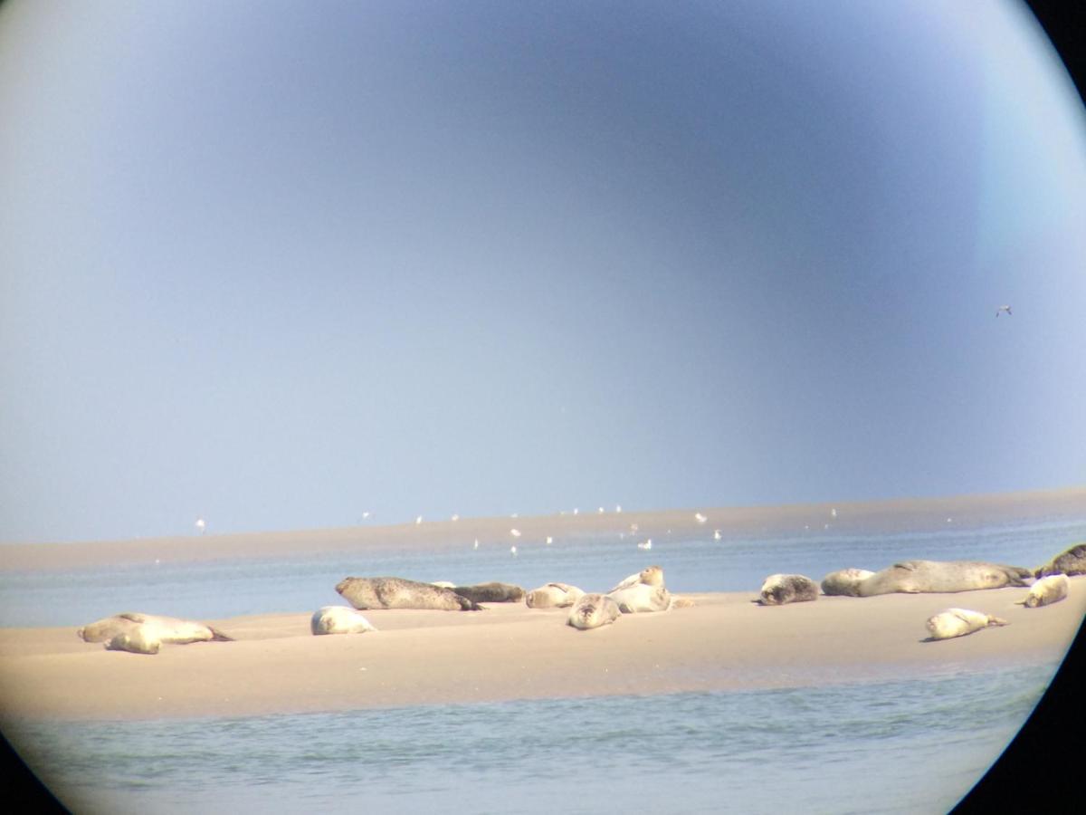 Villa St Laurent كرييل-سور-مير المظهر الخارجي الصورة